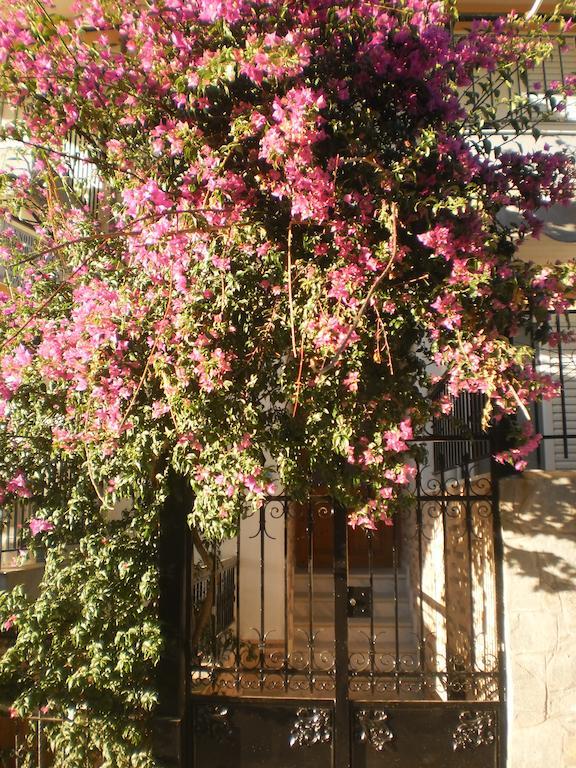 Zavrakli Daire Aya Paraskevi Dış mekan fotoğraf